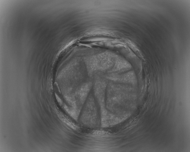 X0000080200399200701051754