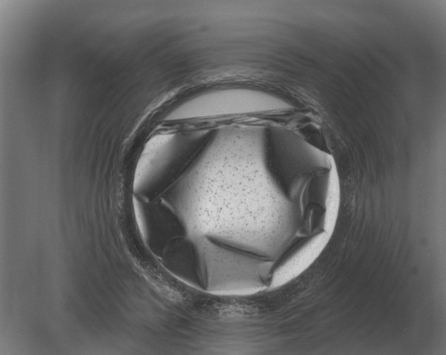 X0000080200400200701051754