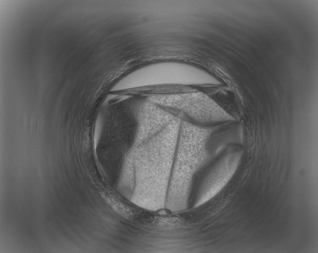 X0000080200401200701051754