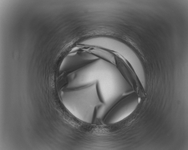 X0000080200403200701051754