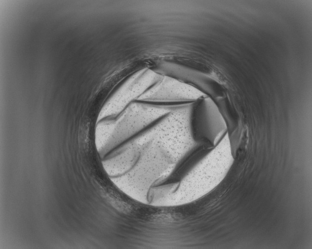 X0000080200404200701051754