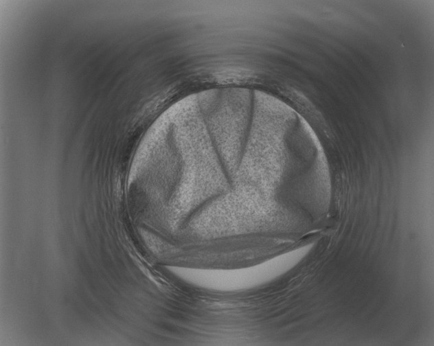 X0000080200405200701051754