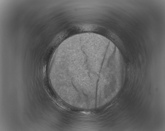 X0000080200406200701051754