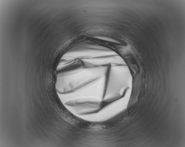 X0000080200407200701051754