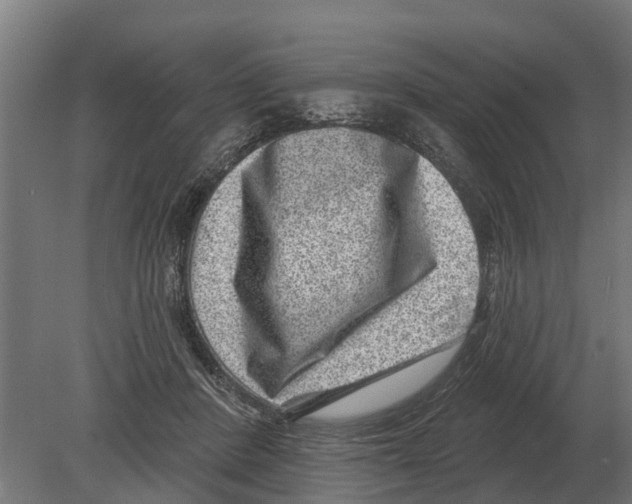 X0000080200408200701051754