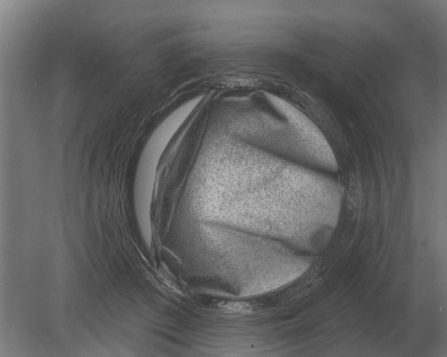 X0000080200409200701051754