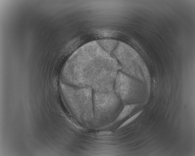 X0000080200410200701051754