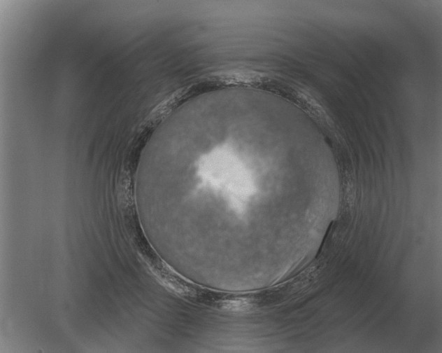 X0000080200411200701051754