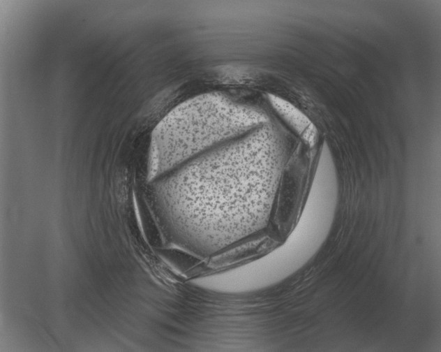 X0000080200413200701051754