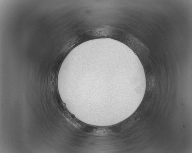 X0000080200414200701051754