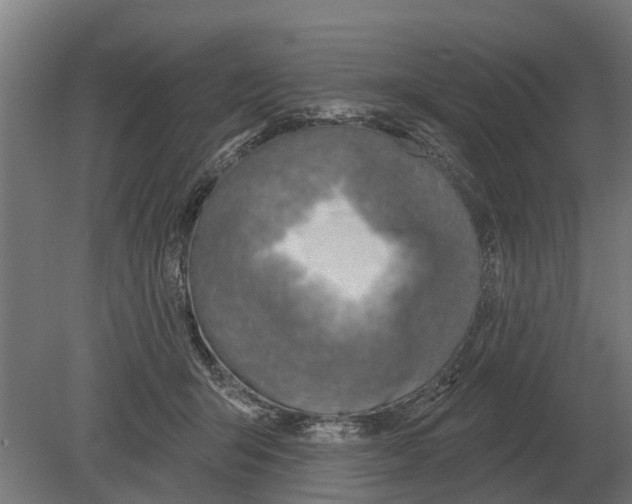 X0000080200415200701051754