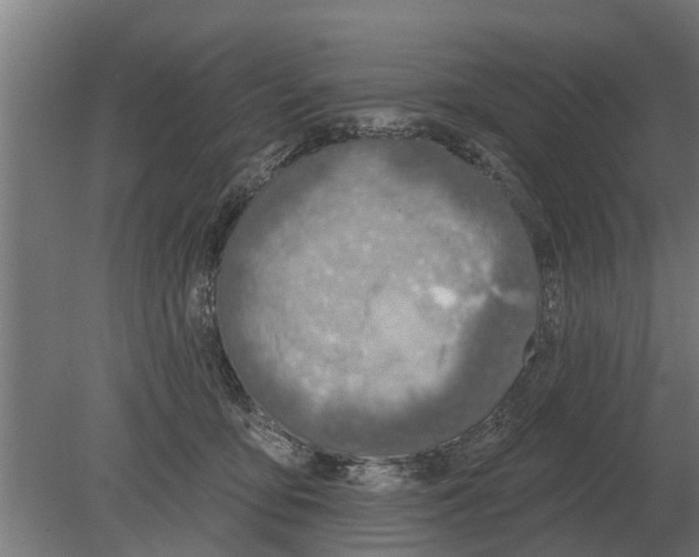 X0000080200419200701051754