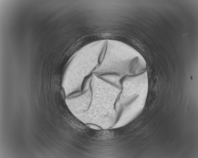 X0000080200421200701051754