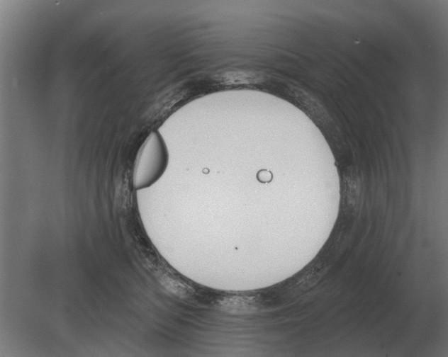 X0000080200422200701051754