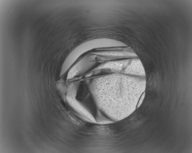 X0000080200424200701051754