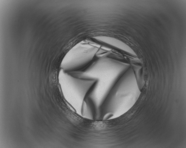 X0000080200425200701051753