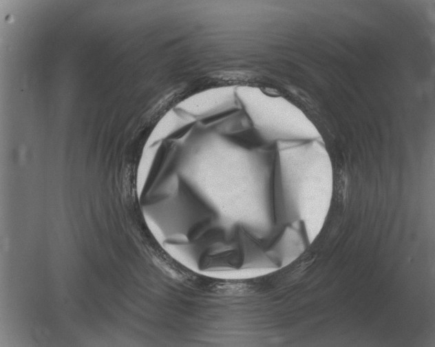 X0000080200428200701051753