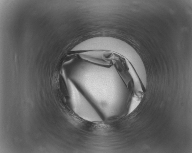 X0000080200429200701051753