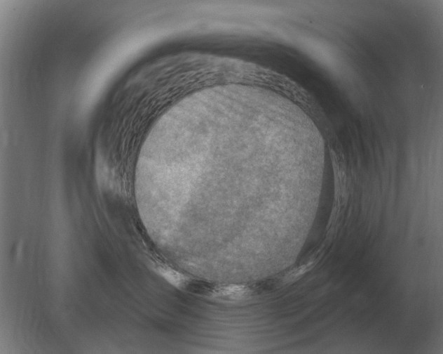 X0000080200431200701051753