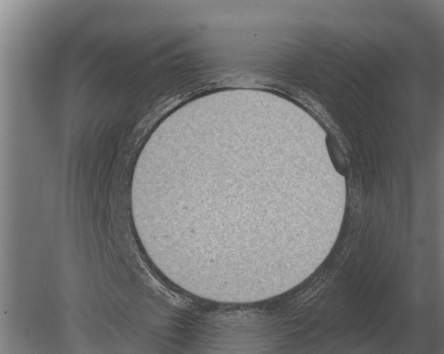 X0000080200433200701051753