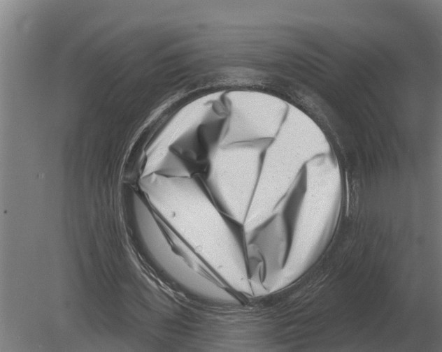 X0000080200435200701051753