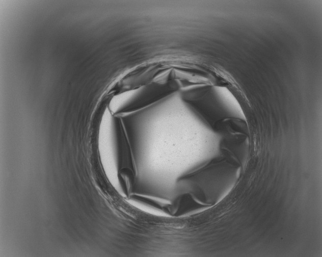 X0000080200436200701051753