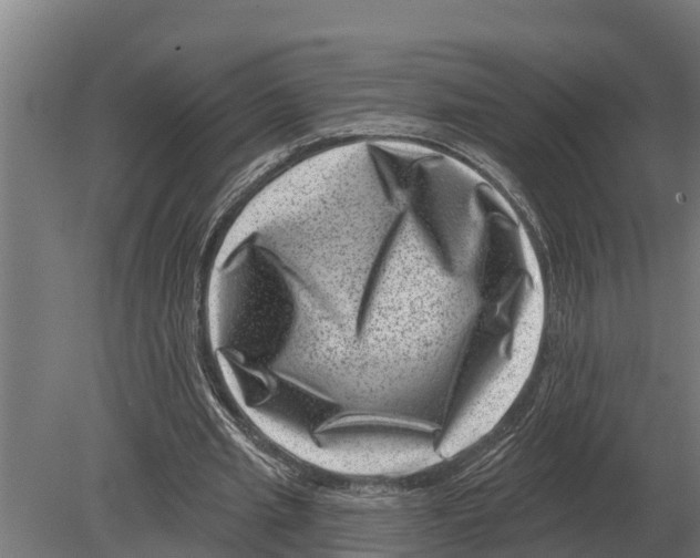 X0000080200437200701051753