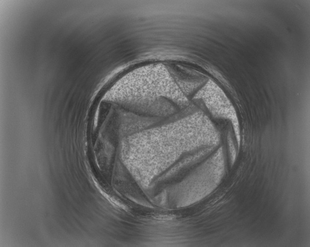 X0000080200438200701051753