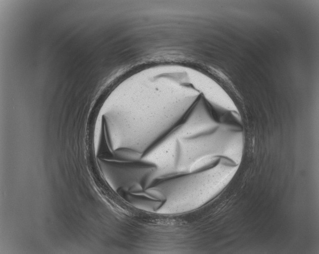 X0000080200439200701051753