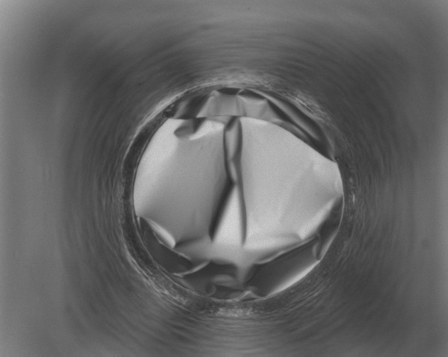 X0000080200440200701051753