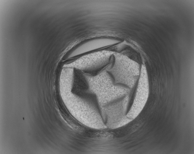 X0000080200443200701051753