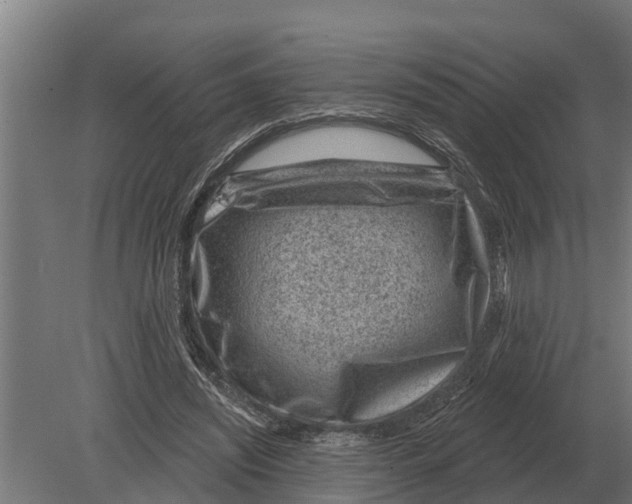 X0000080200444200701051753