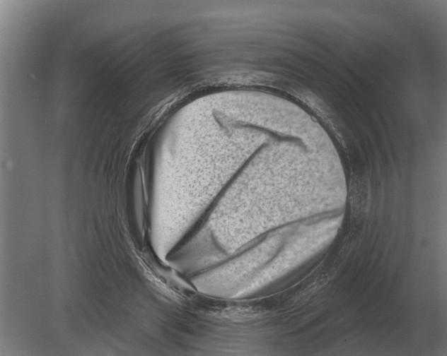 X0000080200445200701051753