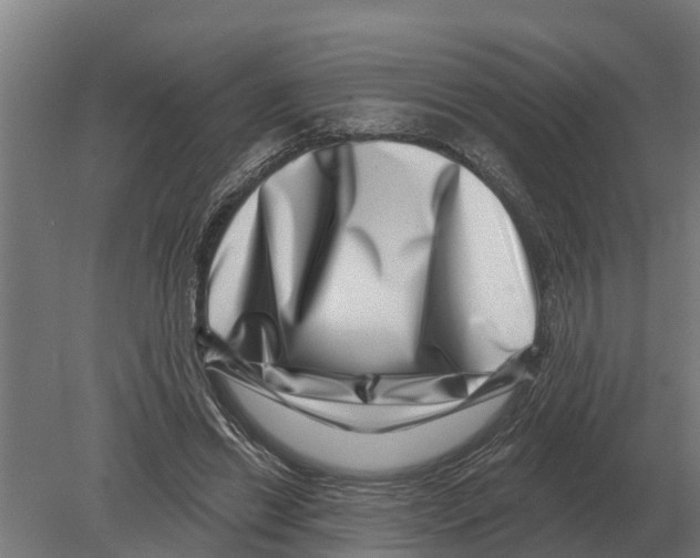 X0000080200446200701051753