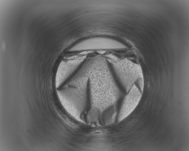 X0000080200447200701051753