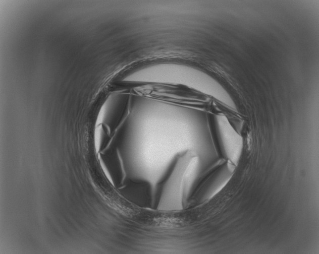 X0000080200448200701051753