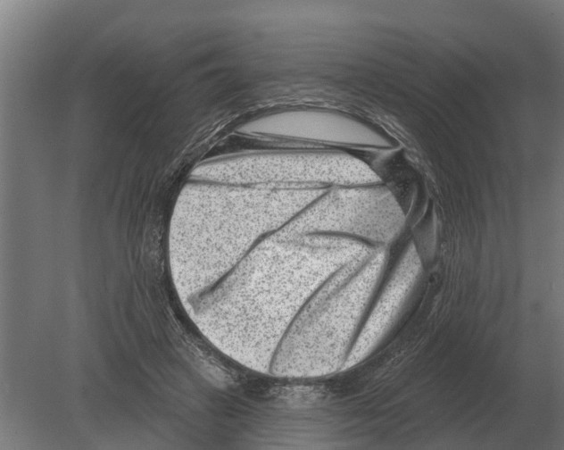 X0000080200449200701051753