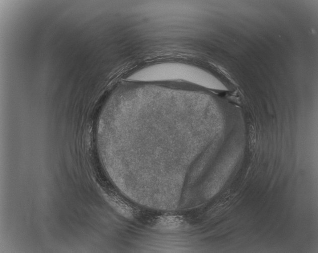 X0000080200451200701051753