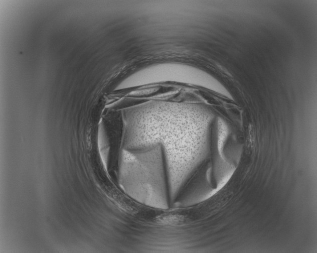 X0000080200452200701051753