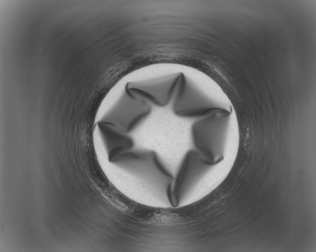 X0000080200455200701051753