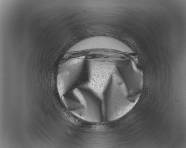 X0000080200457200701051753