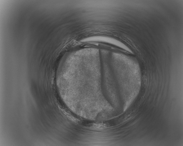 X0000080200458200701051753