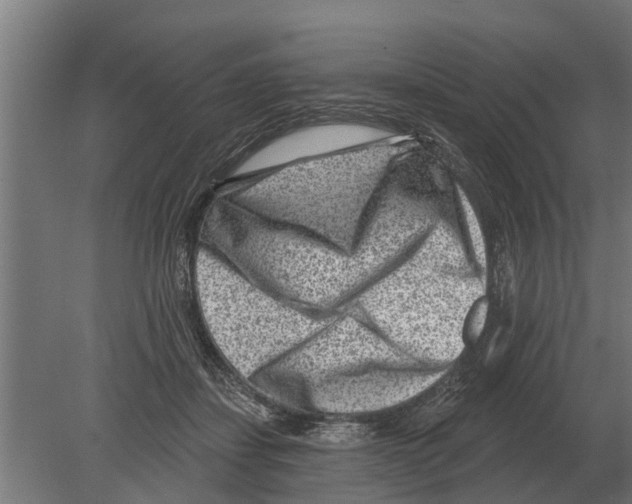 X0000080200459200701051753