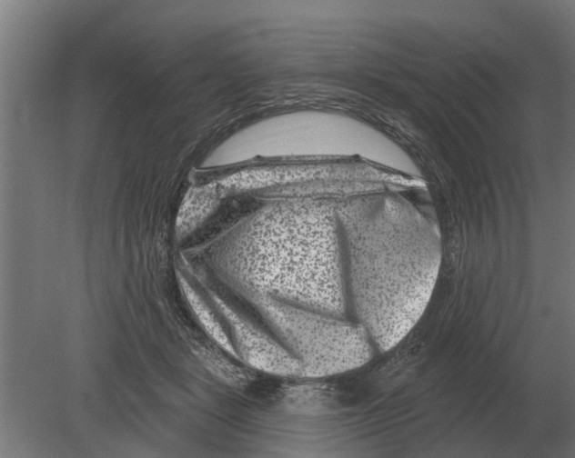 X0000080200461200701051753