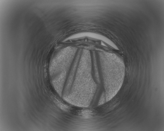 X0000080200462200701051753