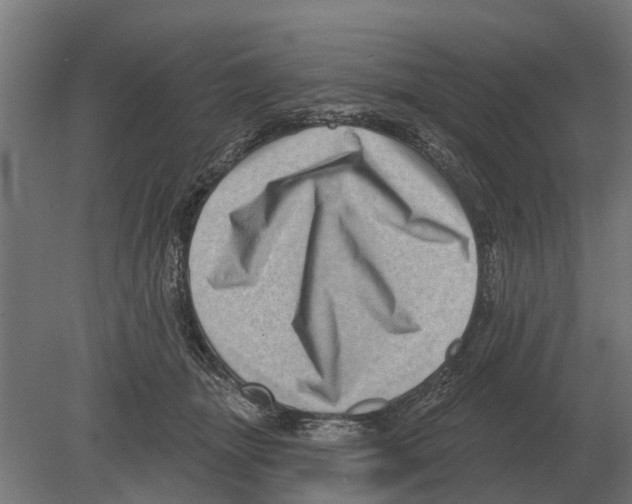 X0000080200463200701051753