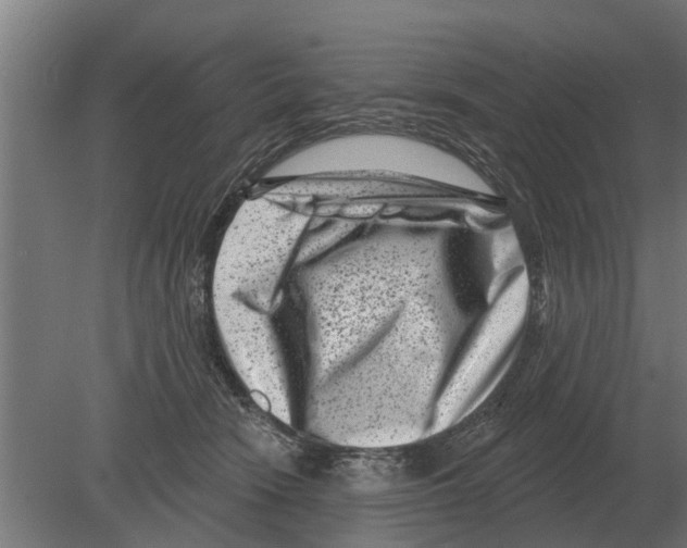 X0000080200466200701051753