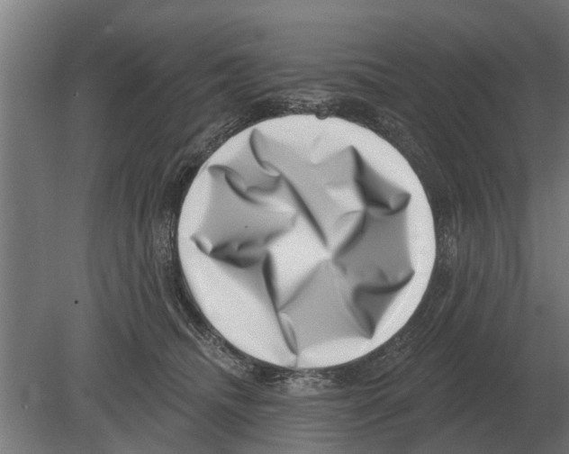 X0000080200468200701051753