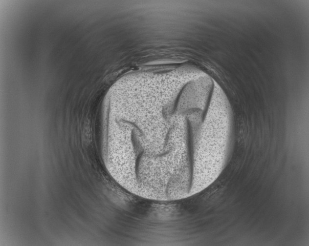 X0000080200469200701051753