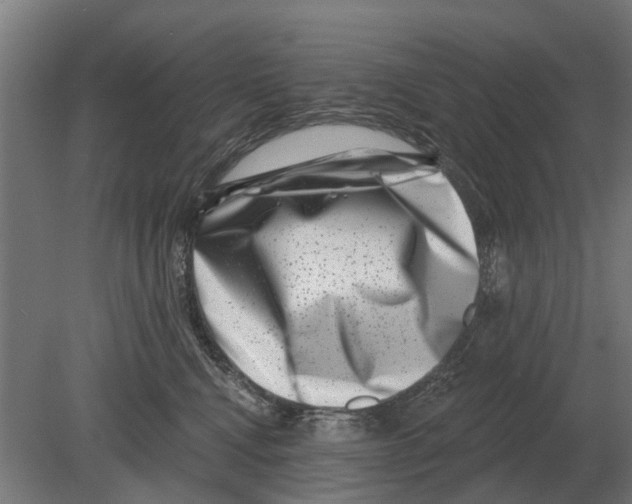 X0000080200472200701051753